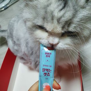 페페로니 잘 먹는 캣츄 - 원양선 참치 24개입 — 5점을 준 리뷰어가 2021년 8월 올린 사용 사진