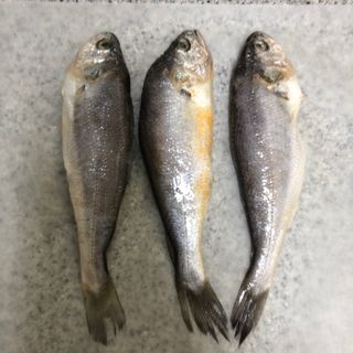 리빙블리님이 올린 리뷰 사진 3