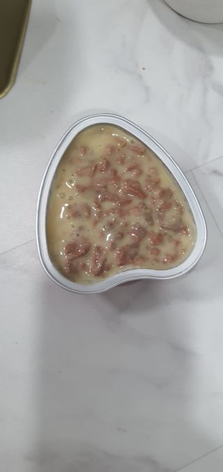 비타크래프트 조에시 하트캔 85g 강아지 습식캔 10캔 — 5점을 준 리뷰어가 2021년 7월 올린 사용 사진