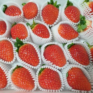 옳음 딸기 논산 설향 딸기 900g 산지직송 — 5점을 준 리뷰어가 2021년 1월 올린 사용 사진