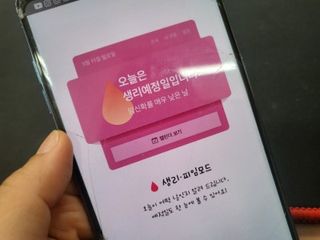 피자맘님이 올린 리뷰 사진 4