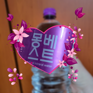 몽베스트 MONTBEST 1L 12입 — 5점을 준 리뷰어가 2022년 3월 올린 사용 사진
