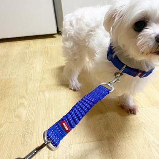 뽀히님이 올린 리뷰 사진 3