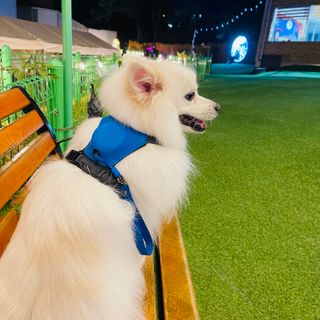 은공님이 올린 리뷰 사진 1
