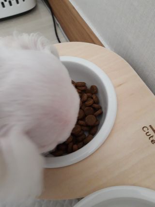 빛날Hwan님이 올린 리뷰 사진 4