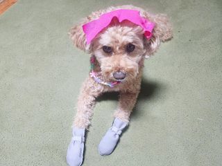 란아님이 올린 리뷰 사진 1