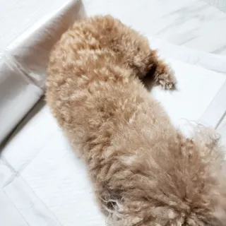 뚠꾸뚠꾸💕님이 올린 리뷰 사진 1