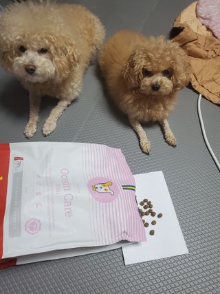 모모맘님이 올린 리뷰 사진 1