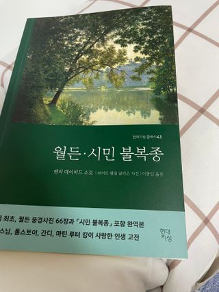 리뷰왕님이 올린 리뷰 사진 3