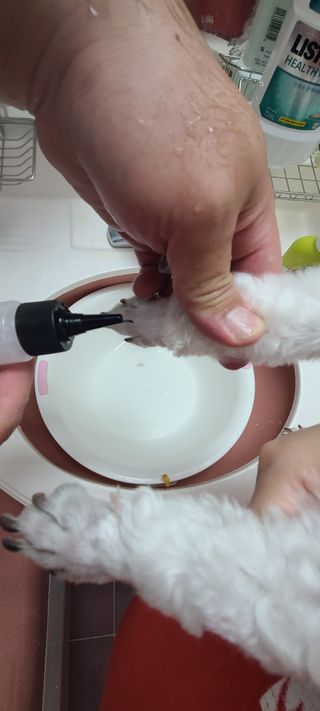 삐랭이님이 올린 리뷰 사진 3