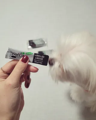 꼬꼬여왕님이 올린 리뷰 사진 4