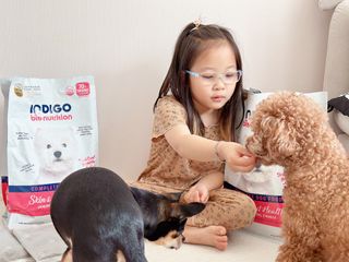 MJ님이 올린 리뷰 사진 1