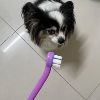 HaejinSeung님이 올린 리뷰 사진 3