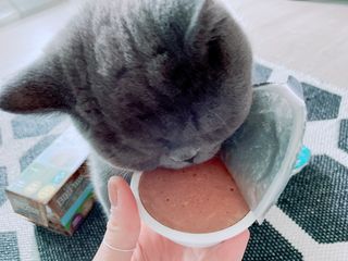 sehee님이 올린 리뷰 사진 3