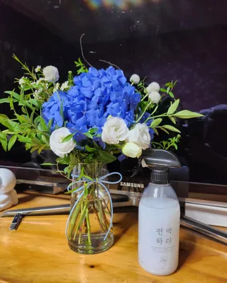 편백하라 피톤치드 편백수 탈취제 500ML — 5점을 준 리뷰어가 2022년 10월 올린 사용 사진