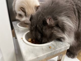 hanav님이 올린 리뷰 사진 2