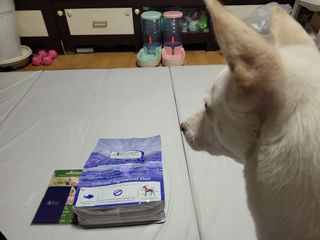 캐닌캐비어 알카라인 홀리스틱 그레이프리 앙뜨레 ALS_4종 오픈스카이, 와일드오션, 프리스피릿, 스페셜니즈 — 5점을 준 리뷰어가 2023년 4월 올린 사용 사진