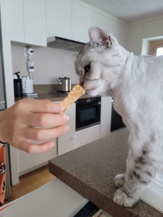 뚜디니님이 올린 리뷰 사진 4