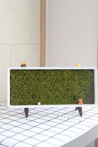 벨라님이 올린 리뷰 사진 1
