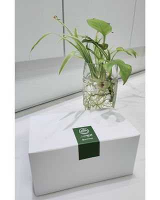 [그래한끼] 무설탕/저당 시리얼타입 수제그래놀라 (40gX10개) — 5점을 준 리뷰어가 2022년 9월 올린 사용 사진