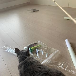 플로리아님이 올린 리뷰 사진 4