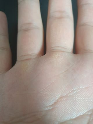 벨라리페라리님이 올린 리뷰 사진 1
