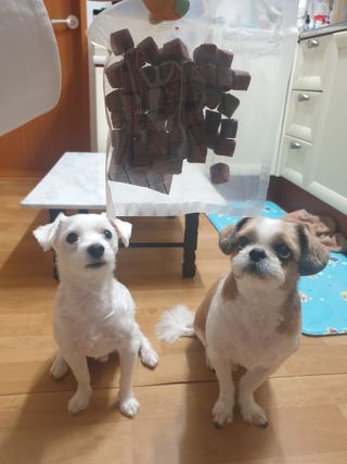 USANA전경미님이 올린 리뷰 사진 2