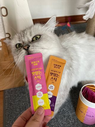 페페로니 맛있는 스틱 - 무항생제 닭고기 15개 + 알래스카 연어 15개 — 5점을 준 리뷰어가 2021년 8월 올린 사용 사진