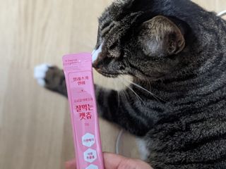 언니의호기심님이 올린 리뷰 사진 1
