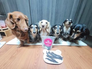 5_daks님이 올린 리뷰 사진 3