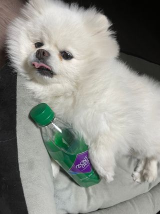 몽베스트 Montbest with Sparkling water Plain 20병 — 5점을 준 리뷰어가 2021년 11월 올린 사용 사진