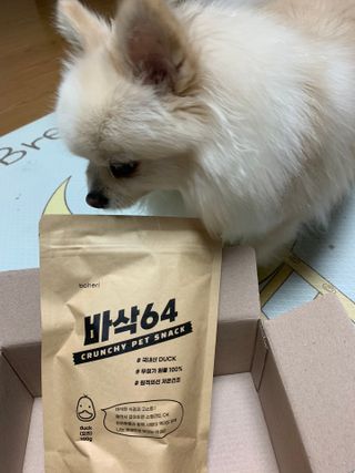 [보헤리] 국내산 강아지 육포간식 바삭 64 2종 — 5점을 준 리뷰어가 2022년 3월 올린 사용 사진