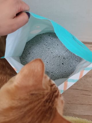 제니블링님이 올린 리뷰 사진 3