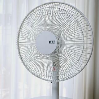 나도파파님이 올린 리뷰 사진 2