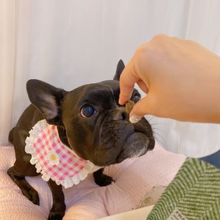 콩비지맘님이 올린 리뷰 사진 2