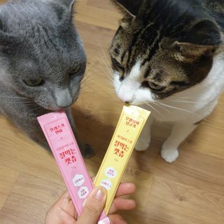 페페로니 잘 먹는 캣츄 - 무항생제 닭고기 12개 + 알래스카 연어 12개 — 5점을 준 리뷰어가 2021년 8월 올린 사용 사진