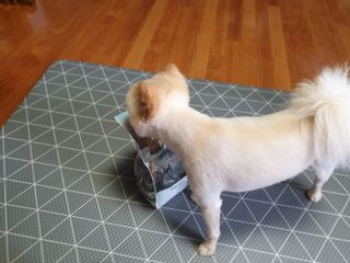 히스잉님이 올린 리뷰 사진 2
