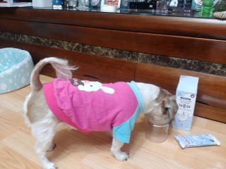 김수연님이 올린 리뷰 사진 1