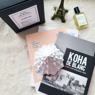 코하드블랑 캘리포니아 규조토 포레스트 인테리어 오브제 — 5점을 준 리뷰어가 2021년 2월 올린 사용 사진