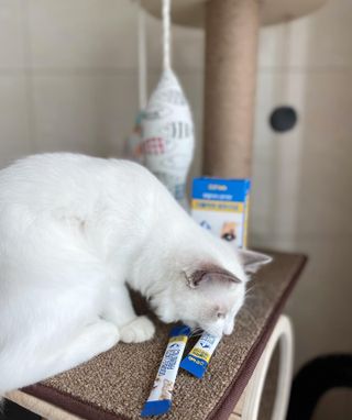 ccoyo님이 올린 리뷰 사진 4
