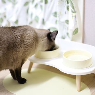 레비올라님이 올린 리뷰 사진 1