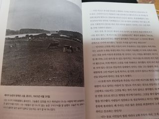 반딧불이님이 올린 리뷰 사진 2