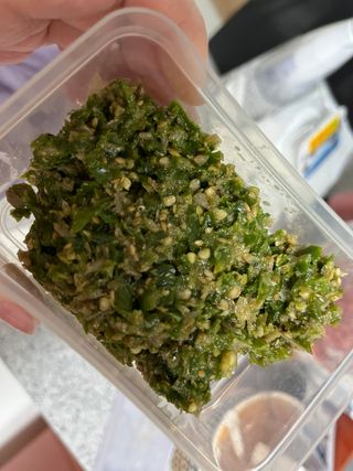 셰프애찬 수제 청양 맵짤이 400g — 5점을 준 리뷰어가 2022년 9월 올린 사용 사진