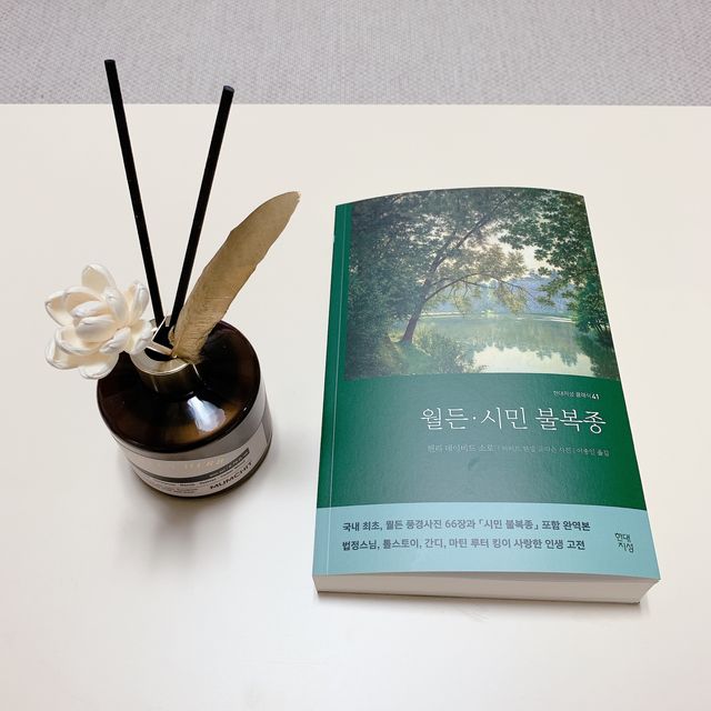 월든·시민 불복종 리뷰 사진
