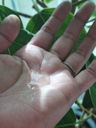 신현미님이 올린 리뷰 사진 1