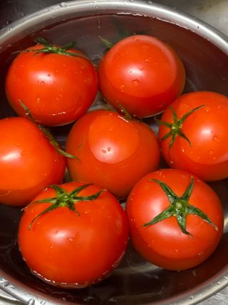 양쏭님이 올린 리뷰 사진 2