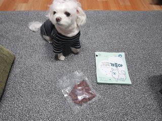My Pet Care 천연단백질 눈건강에 개좋아 — 5점을 준 리뷰어가 2021년 1월 올린 사용 사진