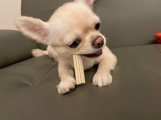 꺼꾸리님이 올린 리뷰 사진 4