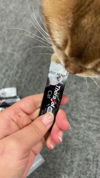 고고고님이 올린 리뷰 사진 1