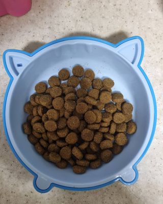 리안맘님이 올린 리뷰 사진 4